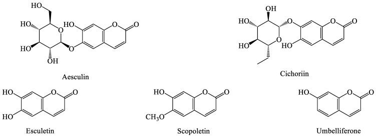 https://cdn.ncbi.nlm.nih.gov/pmc/blobs/5c5d/10343869/0de296357d34/molecules-28-05022-g007.jpg
