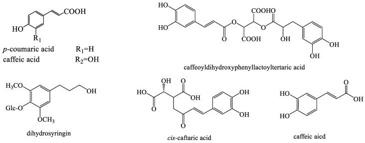 https://cdn.ncbi.nlm.nih.gov/pmc/blobs/5c5d/10343869/6f224b40cd51/molecules-28-05022-g003a.jpg