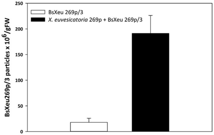 https://cdn.ncbi.nlm.nih.gov/pmc/blobs/5c5d/10574073/ac133f45aa9d/plants-12-03348-g004.jpg