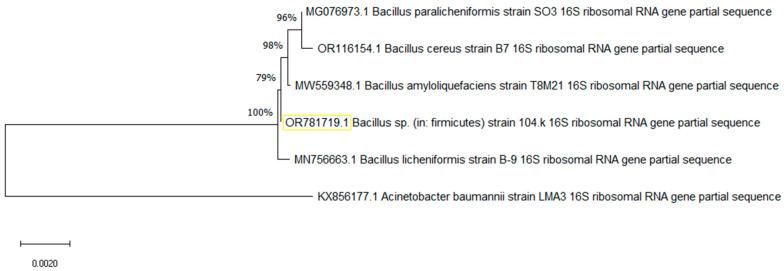 https://cdn.ncbi.nlm.nih.gov/pmc/blobs/5c5d/12388735/a893279c865d/microorganisms-13-01757-g002.jpg