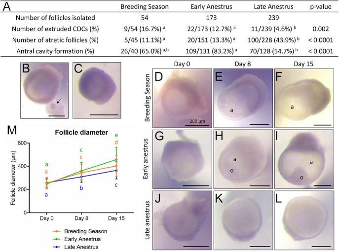 https://cdn.ncbi.nlm.nih.gov/pmc/blobs/5c5e/12100507/10d3459f7016/REP-25-0010fig4.jpg