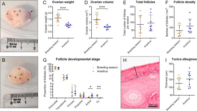 https://cdn.ncbi.nlm.nih.gov/pmc/blobs/5c5e/12100507/3c4aa200a0c4/REP-25-0010fig1.jpg