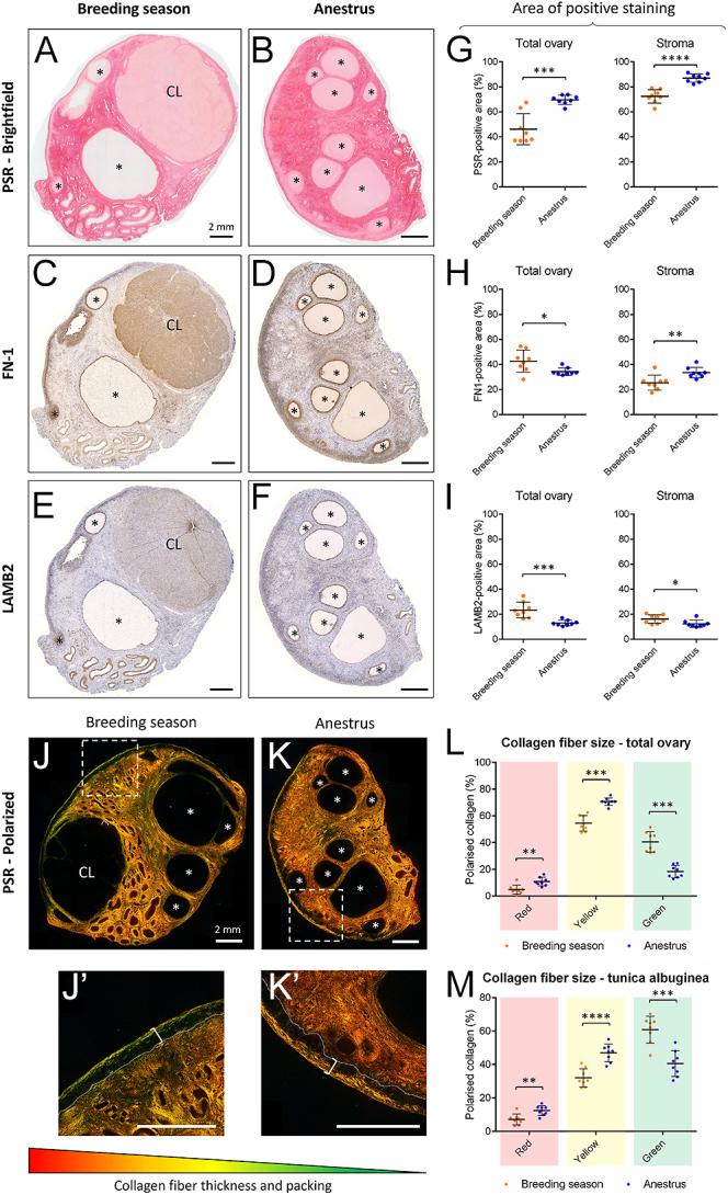 https://cdn.ncbi.nlm.nih.gov/pmc/blobs/5c5e/12100507/9a813d3d9add/REP-25-0010fig3.jpg