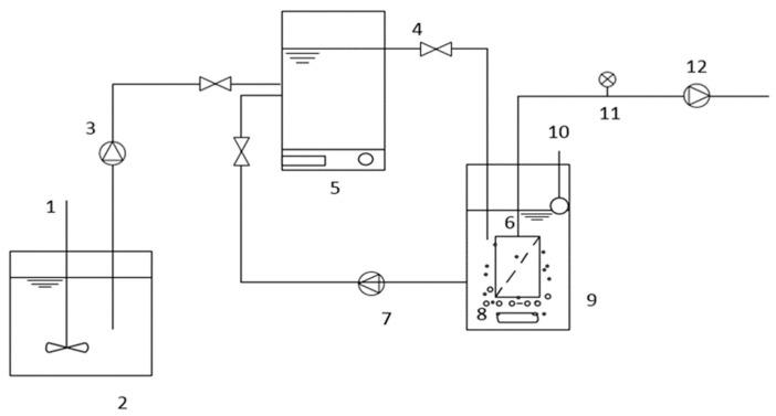 https://cdn.ncbi.nlm.nih.gov/pmc/blobs/5c5e/9416499/2513be761fed/membranes-12-00761-g001.jpg