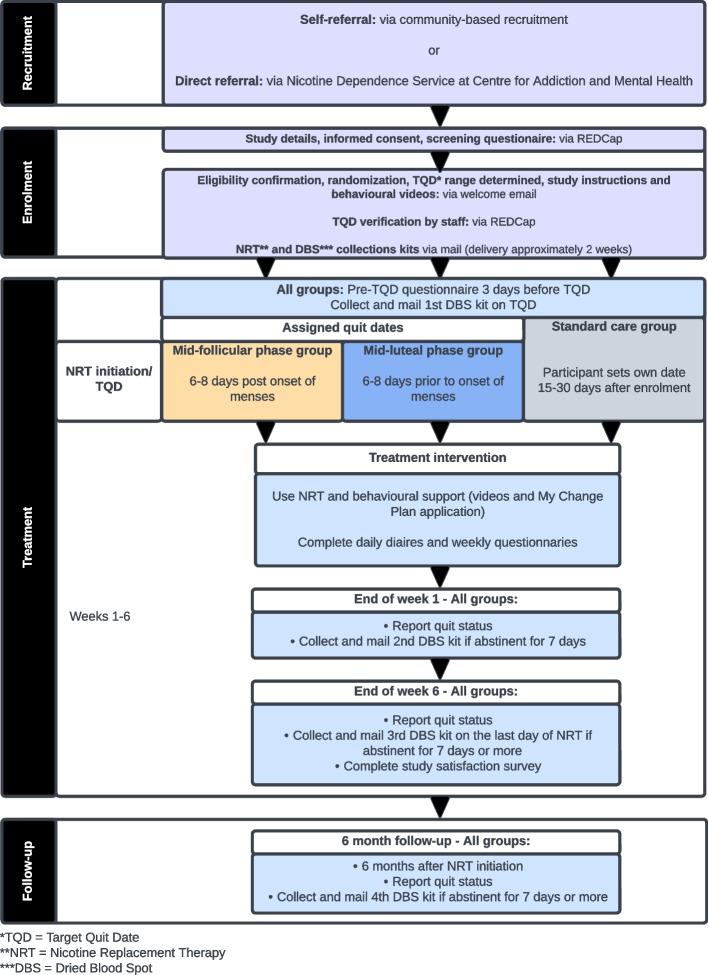 https://cdn.ncbi.nlm.nih.gov/pmc/blobs/5c61/10068171/002d0cb410a7/13063_2023_7196_Fig1_HTML.jpg