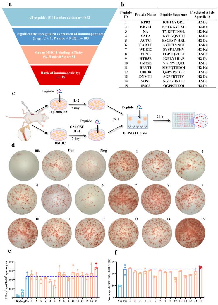 https://cdn.ncbi.nlm.nih.gov/pmc/blobs/5c61/12030737/1d7d7ae23367/pharmaceuticals-18-00491-g006.jpg