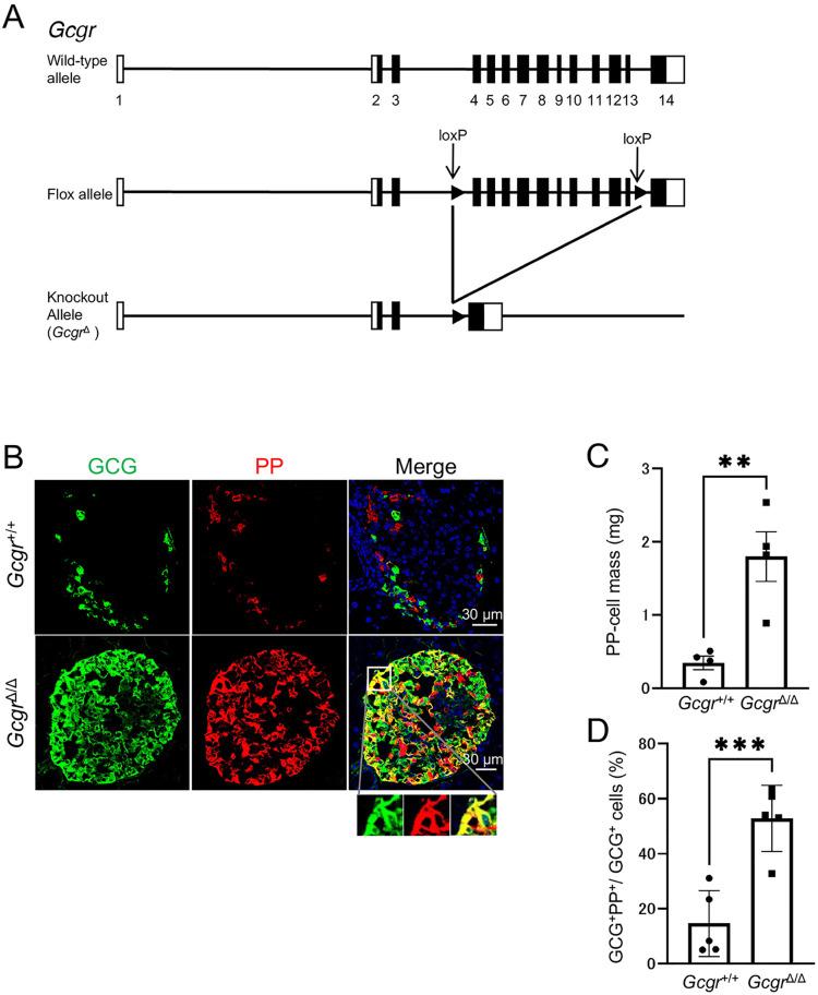 https://cdn.ncbi.nlm.nih.gov/pmc/blobs/5c61/12456763/0736e1e99b2e/pone.0329094.g002.jpg