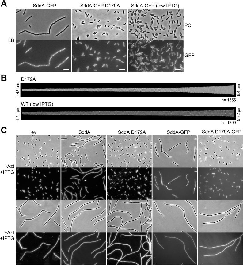 https://cdn.ncbi.nlm.nih.gov/pmc/blobs/5c62/12440217/79403d2a7105/pgen.1011626.g005.jpg