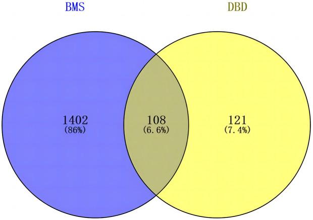 https://cdn.ncbi.nlm.nih.gov/pmc/blobs/5c63/10466413/ef4bbcb33021/fphar-14-1227528-g003.jpg