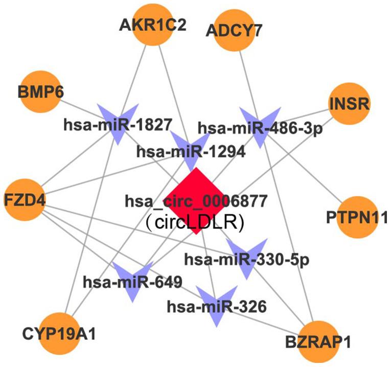 https://cdn.ncbi.nlm.nih.gov/pmc/blobs/5c63/7467373/58307980e135/aging-12-103602-g005.jpg