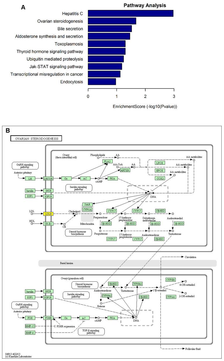 https://cdn.ncbi.nlm.nih.gov/pmc/blobs/5c63/7467373/6d08676073eb/aging-12-103602-g003.jpg