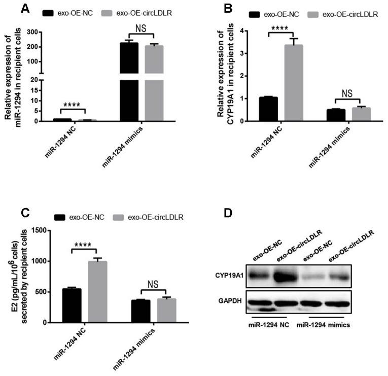 https://cdn.ncbi.nlm.nih.gov/pmc/blobs/5c63/7467373/86f18ca9186d/aging-12-103602-g009.jpg