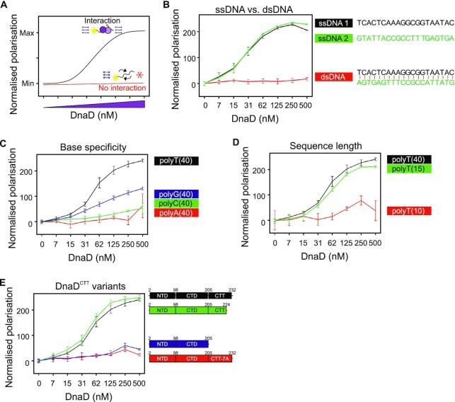 https://cdn.ncbi.nlm.nih.gov/pmc/blobs/5c64/10201434/7235afe371d5/gkad277fig3.jpg