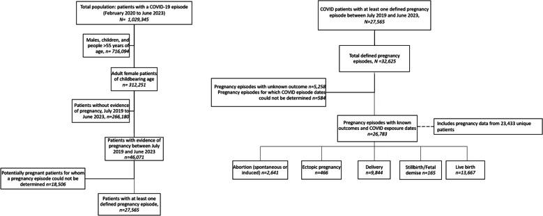 https://cdn.ncbi.nlm.nih.gov/pmc/blobs/5c65/12065203/0537cbfe733e/12916_2025_4094_Fig1_HTML.jpg