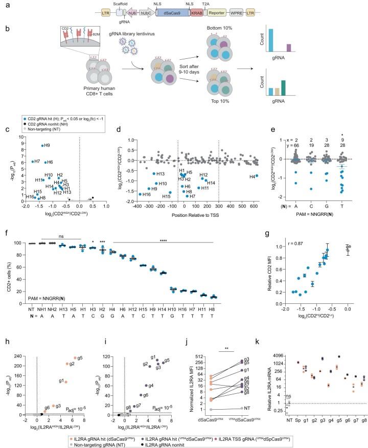 https://cdn.ncbi.nlm.nih.gov/pmc/blobs/5c68/10703699/1798e8359294/41588_2023_1554_Fig7_ESM.jpg