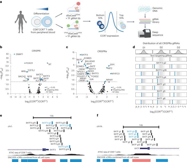 https://cdn.ncbi.nlm.nih.gov/pmc/blobs/5c68/10703699/32f3c866fc88/41588_2023_1554_Fig1_HTML.jpg