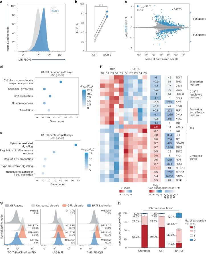 https://cdn.ncbi.nlm.nih.gov/pmc/blobs/5c68/10703699/99fb8c99512a/41588_2023_1554_Fig3_HTML.jpg