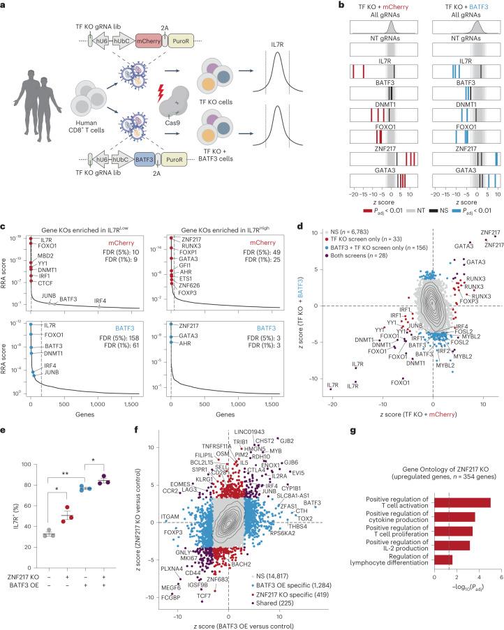 https://cdn.ncbi.nlm.nih.gov/pmc/blobs/5c68/10703699/a941fb57f9bb/41588_2023_1554_Fig6_HTML.jpg