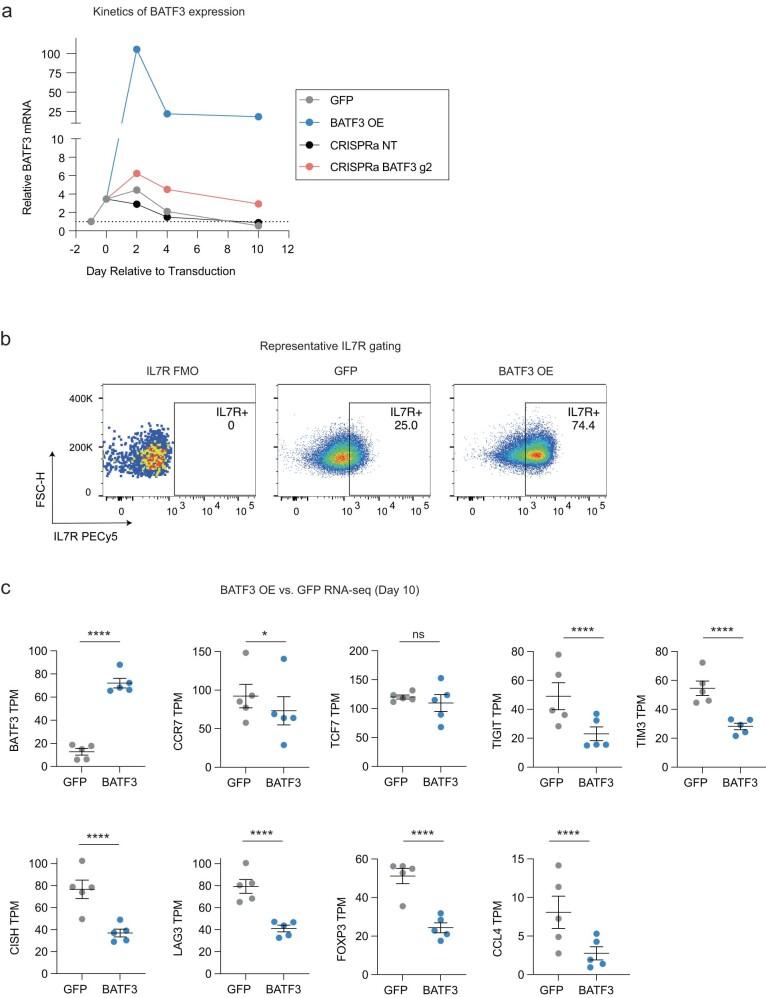https://cdn.ncbi.nlm.nih.gov/pmc/blobs/5c68/10703699/bbe0c5584ce4/41588_2023_1554_Fig11_ESM.jpg