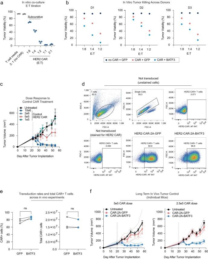 https://cdn.ncbi.nlm.nih.gov/pmc/blobs/5c68/10703699/c9e35089b630/41588_2023_1554_Fig14_ESM.jpg