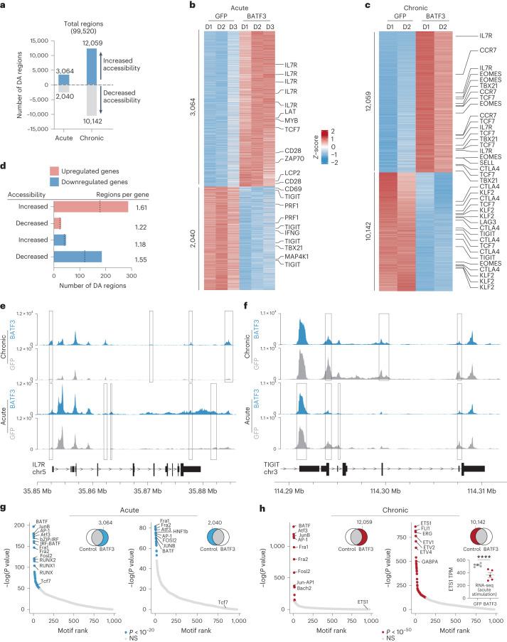 https://cdn.ncbi.nlm.nih.gov/pmc/blobs/5c68/10703699/ddf7d56b3cf0/41588_2023_1554_Fig4_HTML.jpg