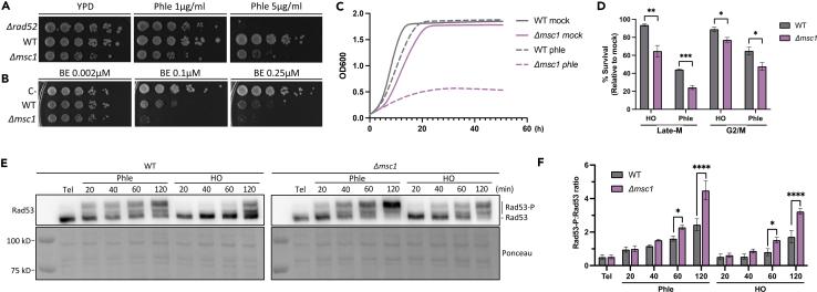 https://cdn.ncbi.nlm.nih.gov/pmc/blobs/5c6c/11253511/35951eba2743/gr2.jpg