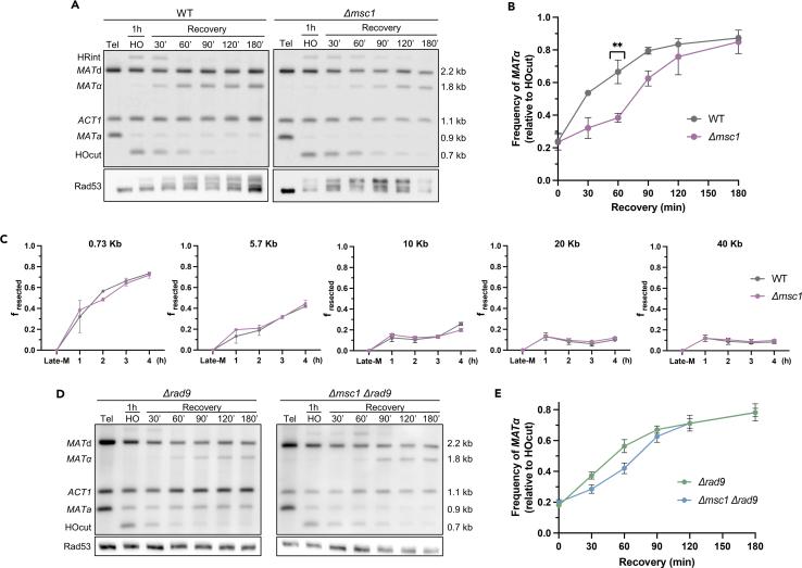 https://cdn.ncbi.nlm.nih.gov/pmc/blobs/5c6c/11253511/70067a36d18f/gr3.jpg