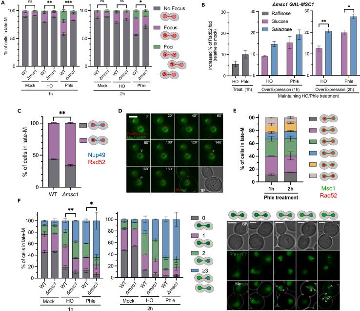https://cdn.ncbi.nlm.nih.gov/pmc/blobs/5c6c/11253511/d6e735d89f35/gr4.jpg