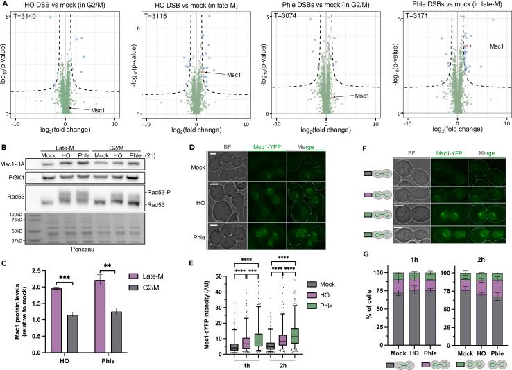 https://cdn.ncbi.nlm.nih.gov/pmc/blobs/5c6c/11253511/d9762536ce54/gr1.jpg
