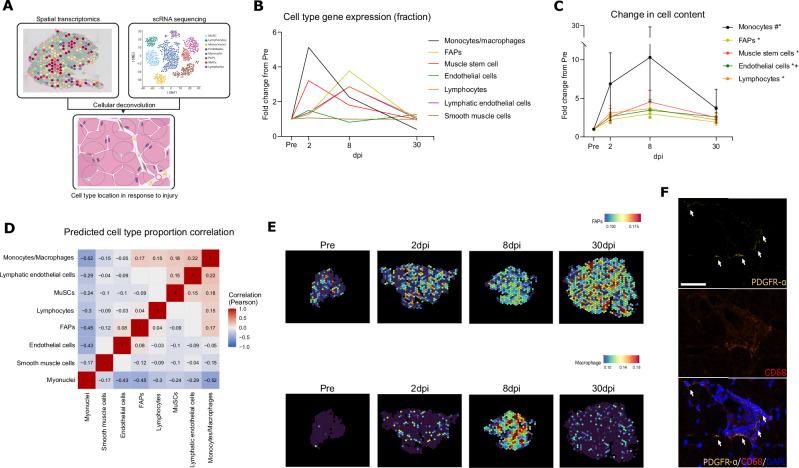 https://cdn.ncbi.nlm.nih.gov/pmc/blobs/5c6c/12141666/a12e51ea6754/41467_2025_60627_Fig2_HTML.jpg