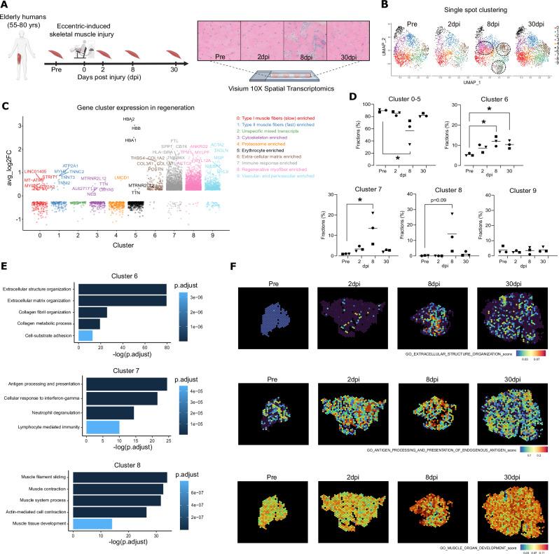 https://cdn.ncbi.nlm.nih.gov/pmc/blobs/5c6c/12141666/b3b5350b7ec1/41467_2025_60627_Fig1_HTML.jpg