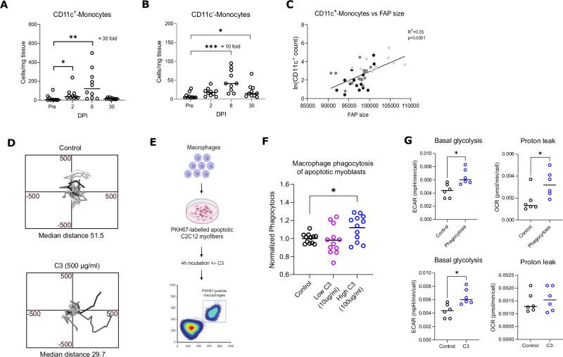 https://cdn.ncbi.nlm.nih.gov/pmc/blobs/5c6c/12141666/ccf11ebadfb9/41467_2025_60627_Fig4_HTML.jpg