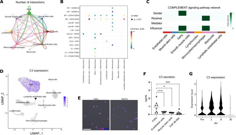 https://cdn.ncbi.nlm.nih.gov/pmc/blobs/5c6c/12141666/e7419a3464ac/41467_2025_60627_Fig3_HTML.jpg