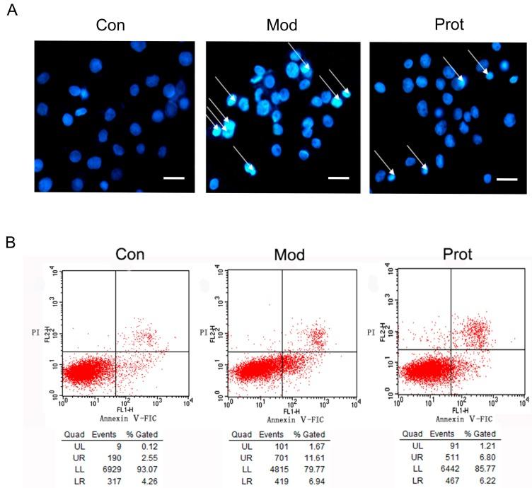 https://cdn.ncbi.nlm.nih.gov/pmc/blobs/5c6c/6152301/3ff9bd528d24/molecules-22-01122-g003.jpg