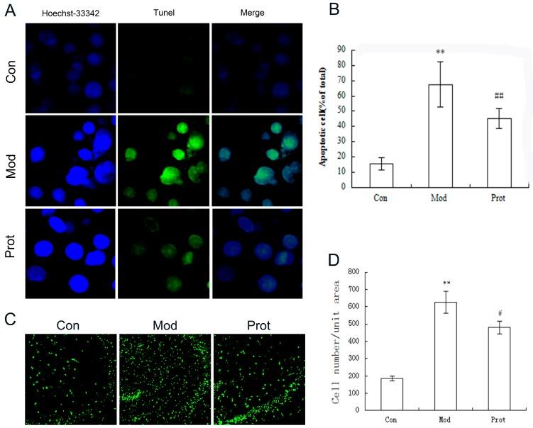https://cdn.ncbi.nlm.nih.gov/pmc/blobs/5c6c/6152301/cd3ba7fc5c18/molecules-22-01122-g004.jpg