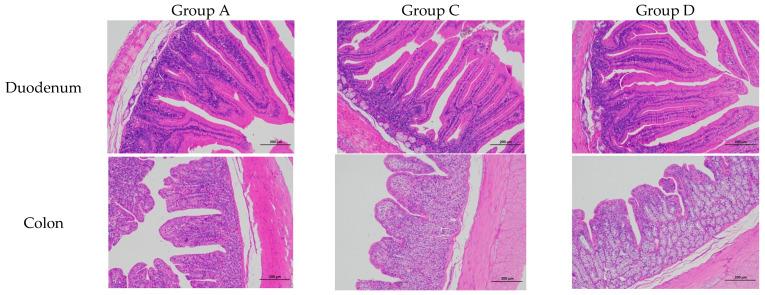 https://cdn.ncbi.nlm.nih.gov/pmc/blobs/5c6d/12345576/49c4522014f8/animals-15-02262-g001.jpg