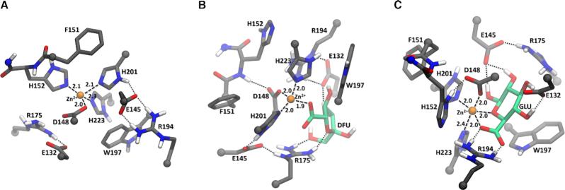 https://cdn.ncbi.nlm.nih.gov/pmc/blobs/5c6d/8092373/fce67586ac82/lqab033fig1.jpg