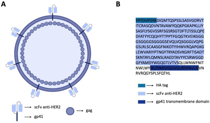 https://cdn.ncbi.nlm.nih.gov/pmc/blobs/5c6e/9688031/83f629fd2865/bioengineering-09-00713-g001.jpg