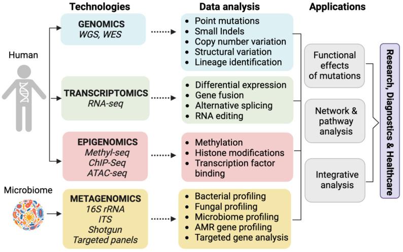 https://cdn.ncbi.nlm.nih.gov/pmc/blobs/5c6f/10376292/704741a7e847/biology-12-00997-g003.jpg