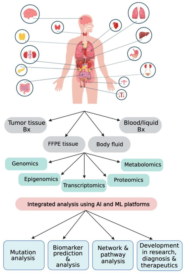 https://cdn.ncbi.nlm.nih.gov/pmc/blobs/5c6f/10376292/9e021bd6b062/biology-12-00997-g004.jpg