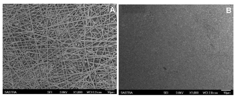 https://cdn.ncbi.nlm.nih.gov/pmc/blobs/5c6f/12348666/1be1edb9690c/molecules-30-03276-g011.jpg
