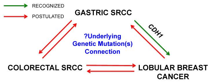 https://cdn.ncbi.nlm.nih.gov/pmc/blobs/5c70/8199234/9d2e9d4ce65c/cancers-13-02622-g002.jpg