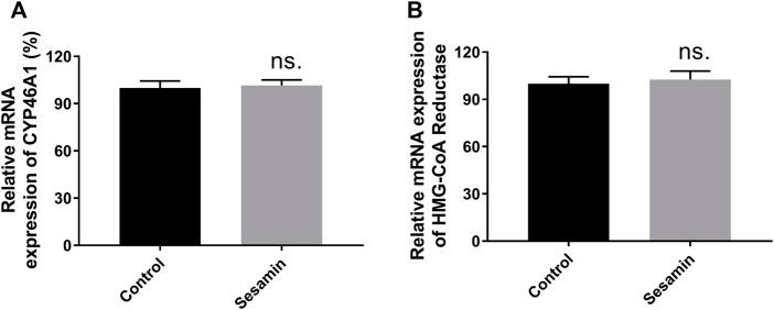 https://cdn.ncbi.nlm.nih.gov/pmc/blobs/5c70/9722955/786983e107d4/fphar-13-1046814-g010.jpg