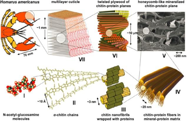 https://cdn.ncbi.nlm.nih.gov/pmc/blobs/5c72/5453072/7c83ee033f1d/materials-07-00673f7.jpg