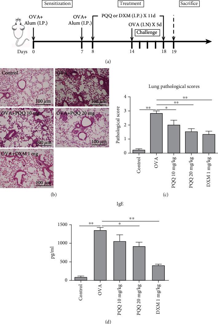 https://cdn.ncbi.nlm.nih.gov/pmc/blobs/5c72/9637035/52469e3e44d9/MI2022-1267841.003.jpg
