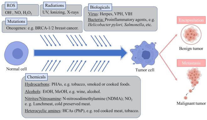 https://cdn.ncbi.nlm.nih.gov/pmc/blobs/5c73/7918405/b4c41c5cd872/pharmaceuticals-14-00157-g001.jpg