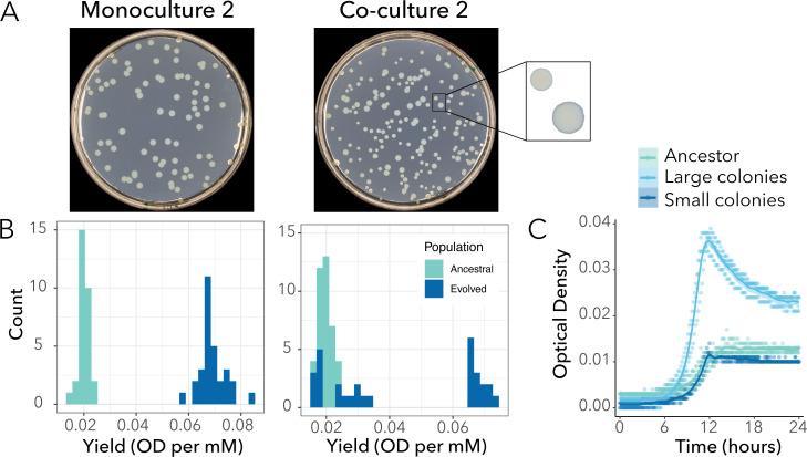 https://cdn.ncbi.nlm.nih.gov/pmc/blobs/5c75/11575400/ccedfa615b76/msystems.01053-24.f001.jpg