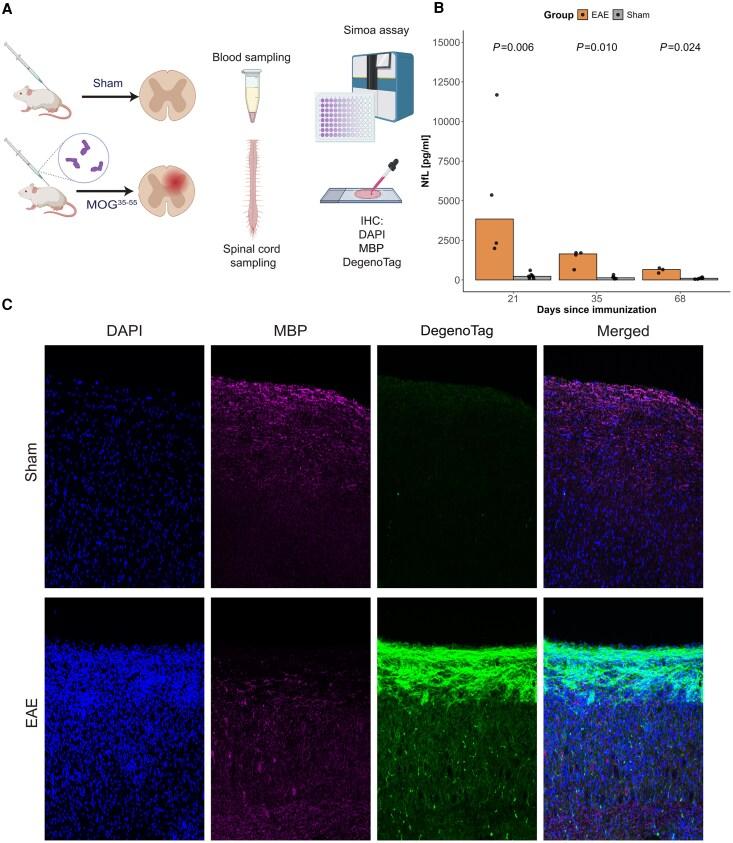 https://cdn.ncbi.nlm.nih.gov/pmc/blobs/5c75/12316004/52bd0b1cfaba/awaf144f1.jpg