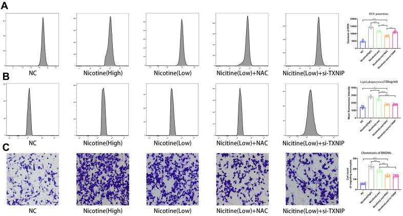 https://cdn.ncbi.nlm.nih.gov/pmc/blobs/5c78/7993665/a263be488c53/aging-13-202660-g002.jpg