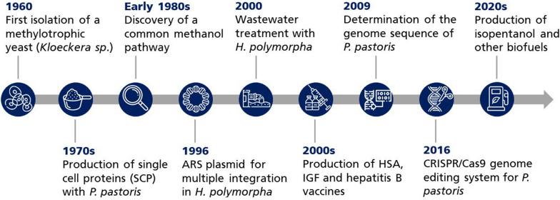 https://cdn.ncbi.nlm.nih.gov/pmc/blobs/5c78/9587593/212587b53d17/13068_2022_2210_Fig1_HTML.jpg